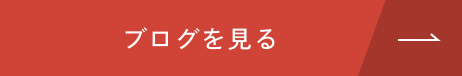 ブログを見る