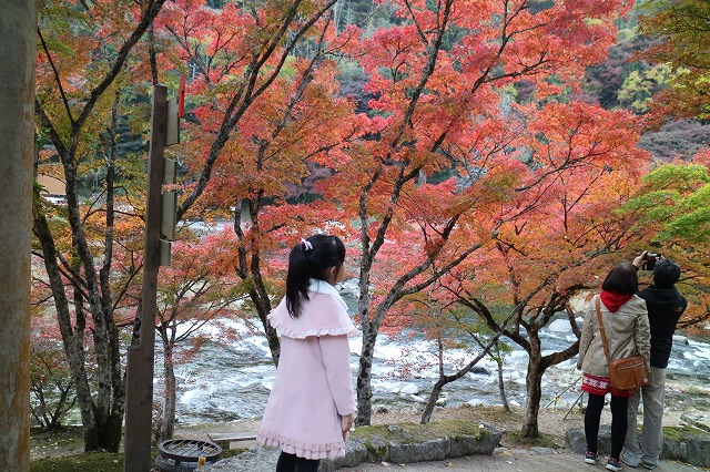 紅葉と刀削麺