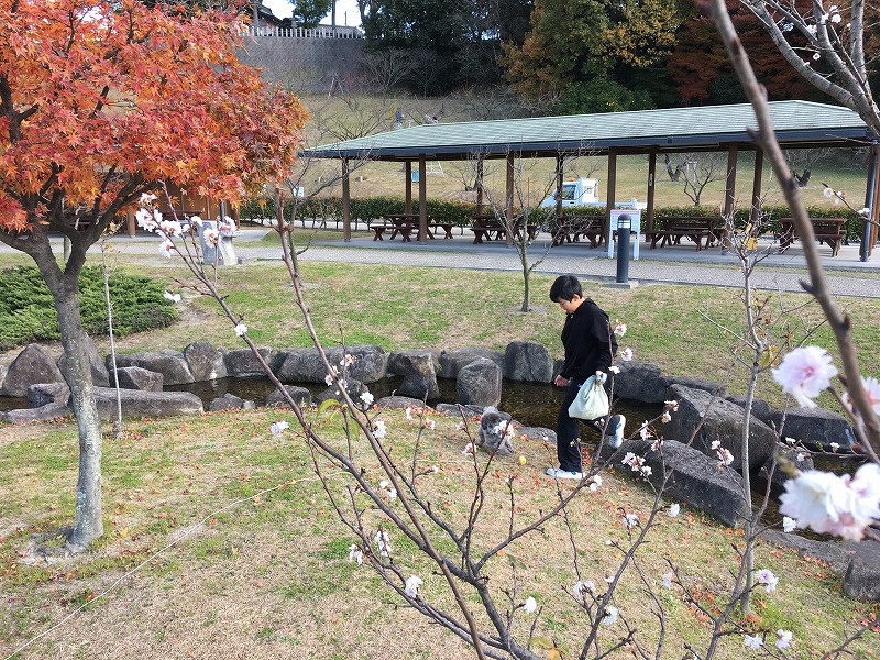 インフルのおかげ