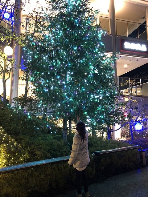 クリスマスのイルミネーションと