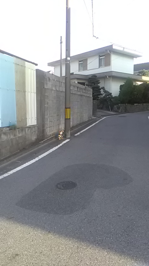金色の招き猫