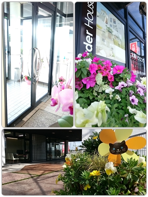 太陽ハウジングには お花がたくさんあります