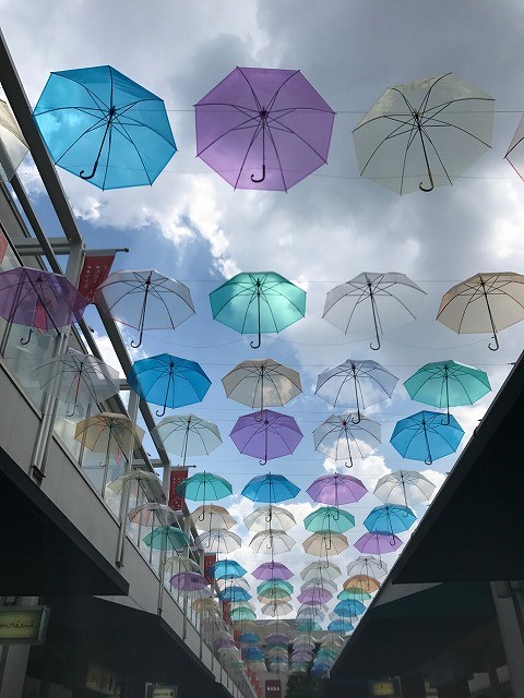 梅雨の空とあじさい