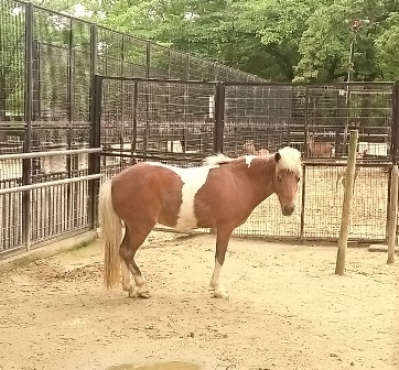 安城にある動物園