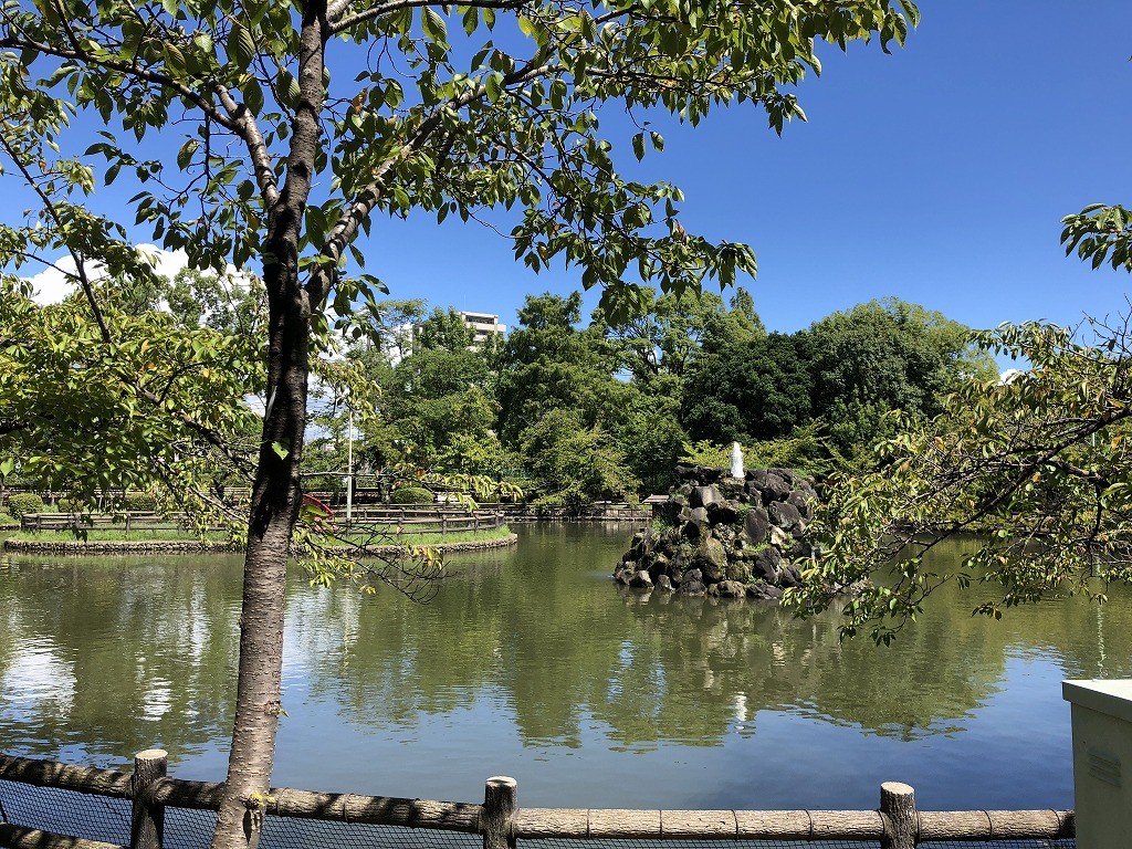 アヒルと九州男児のうさぎ