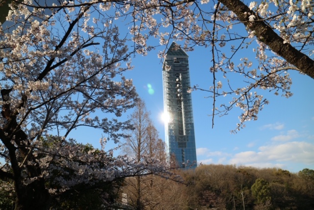 春