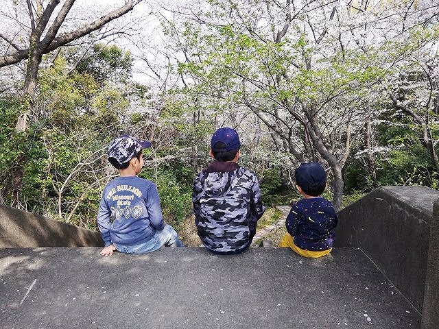 平成トリオの平成写真