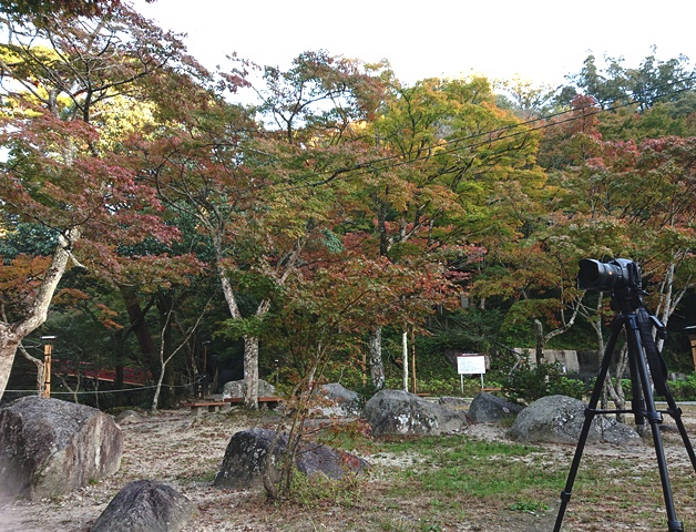 秋を 見つけに