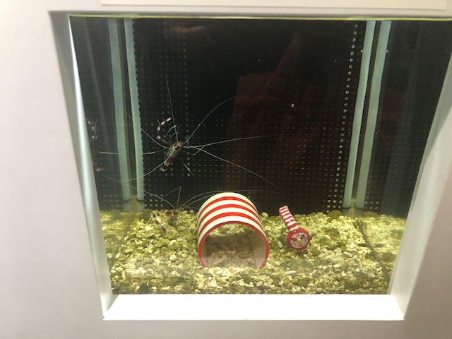 名古屋港水族館