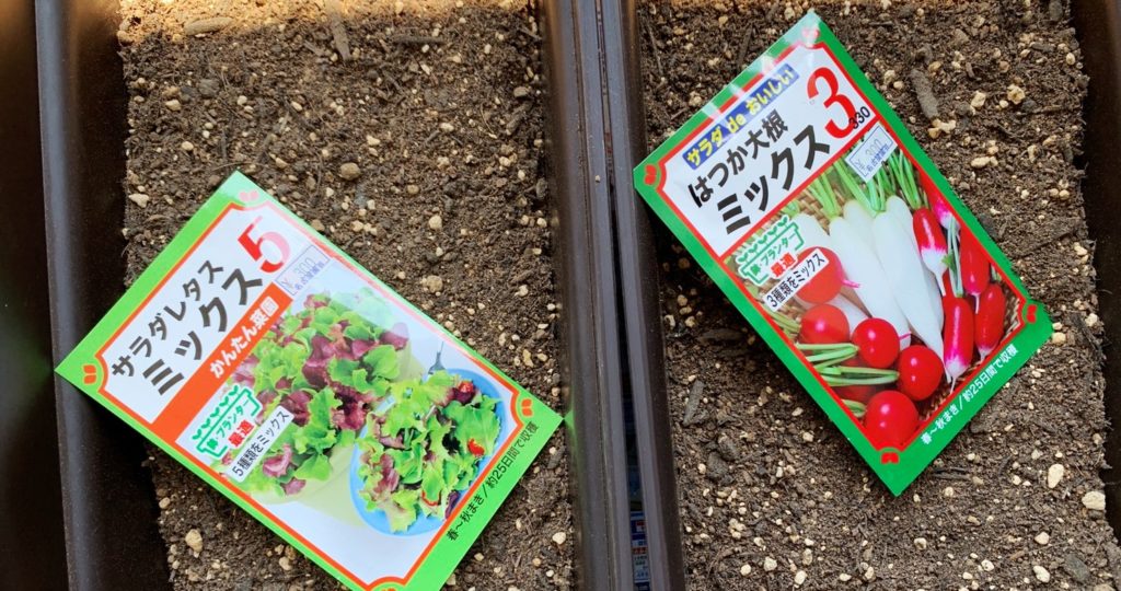 ☆家庭菜園