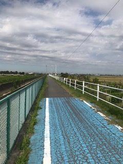 秋晴れの豊田安城サイクリングロードをのんびりジョギング