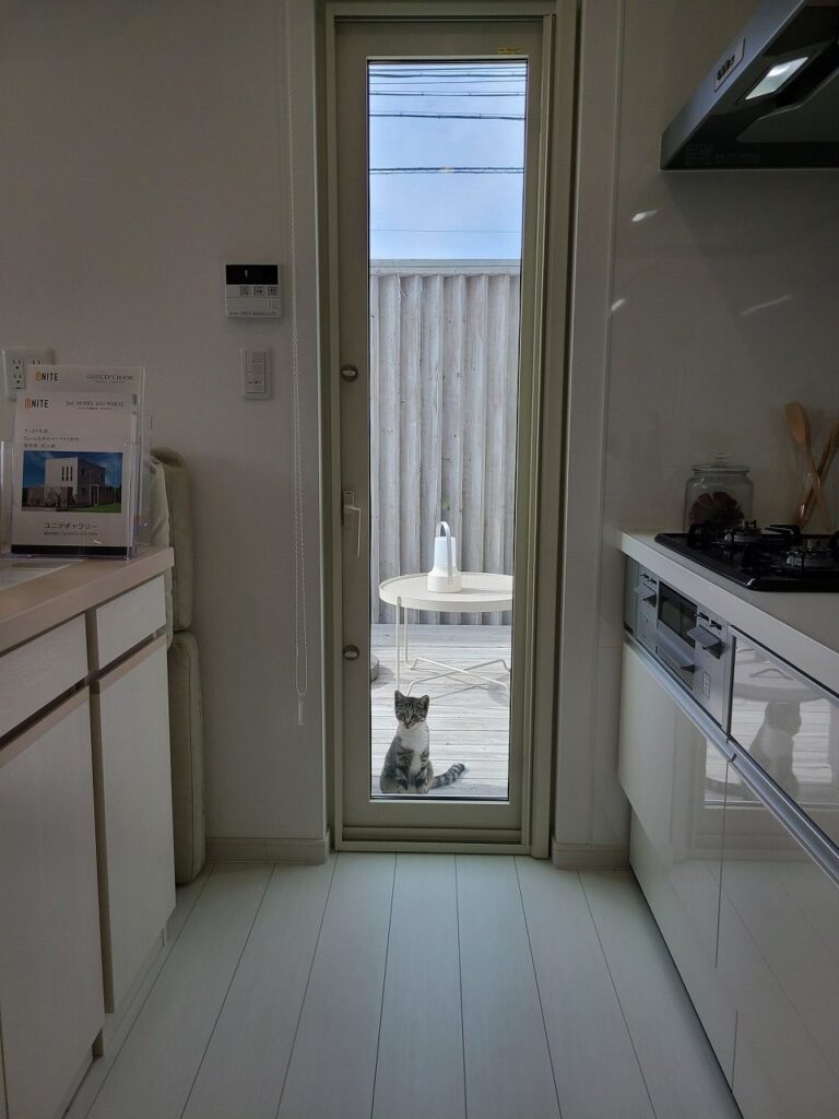 悠々自適ですね