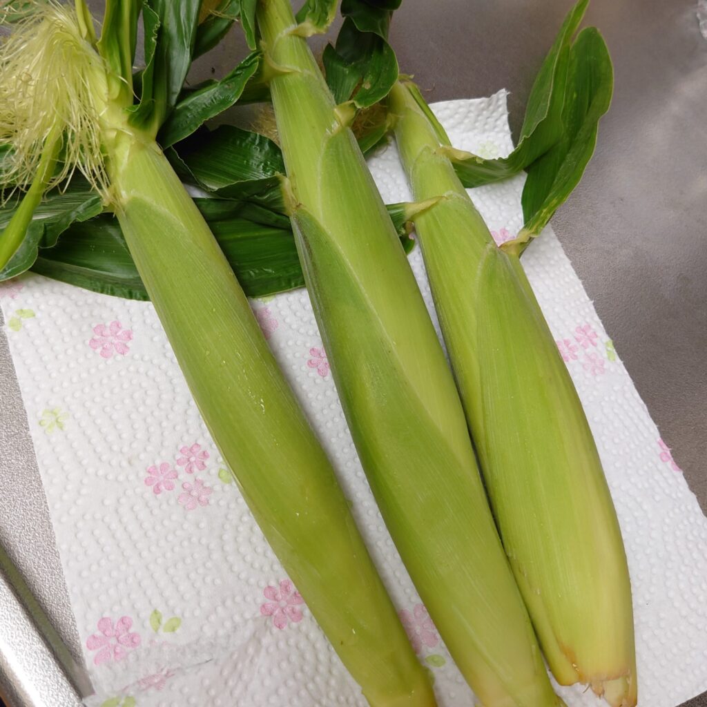 ☆生のヤングコーンは、今だけ！