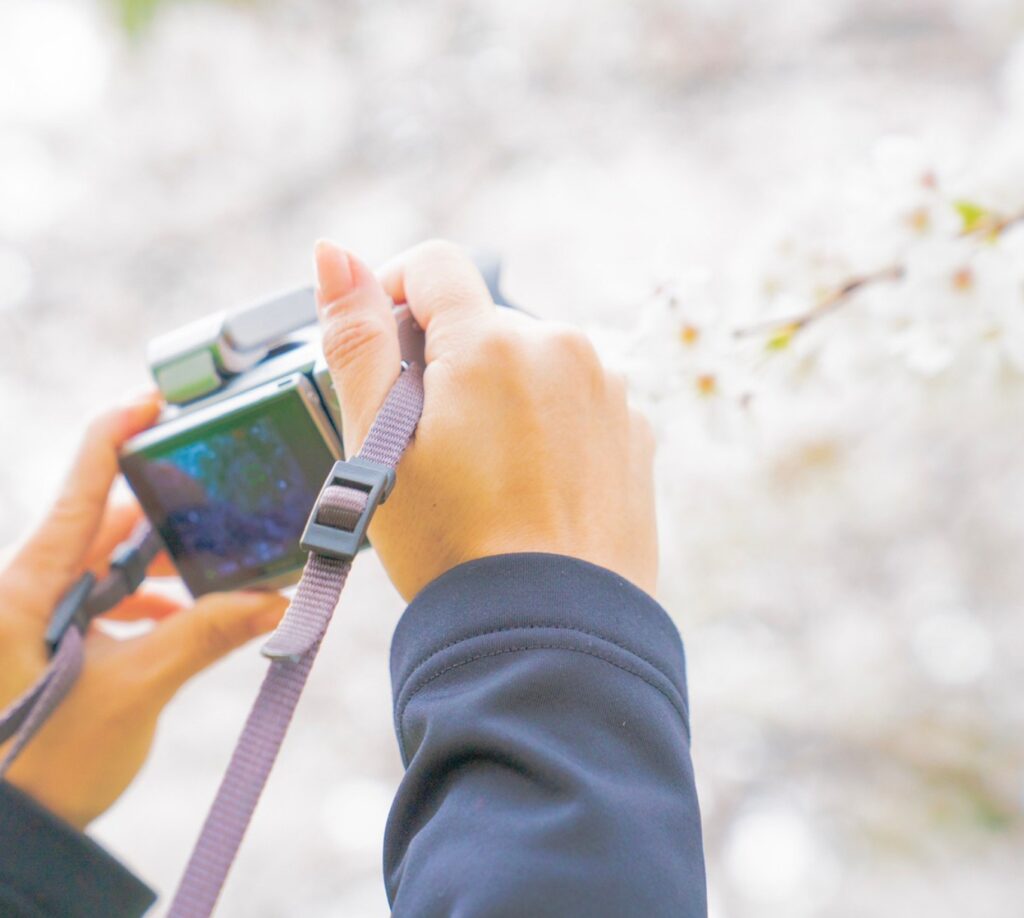 ☆満開の桜
