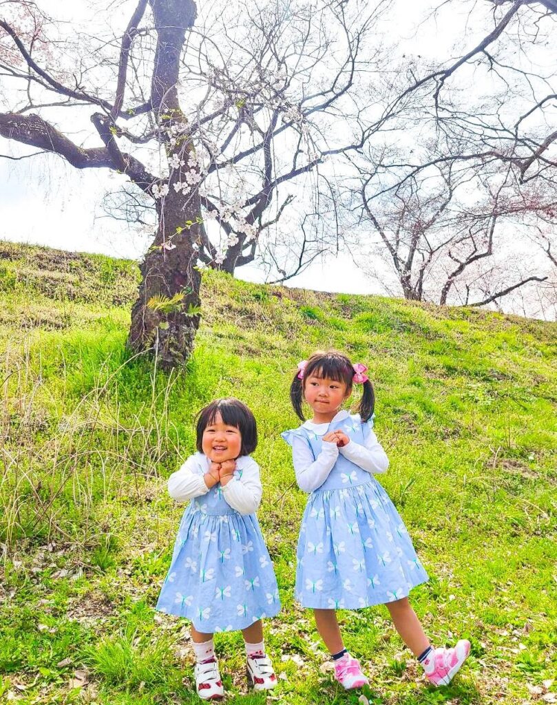 花見と忍者ナイン