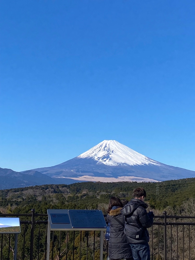 素晴らしい景色。