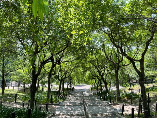 東山公園と散歩