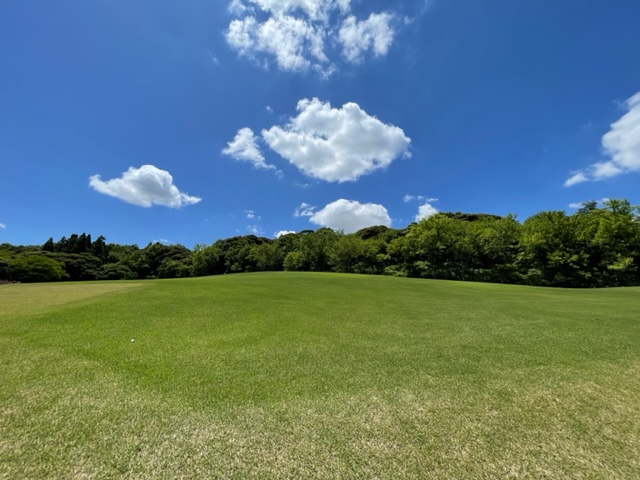森林公園