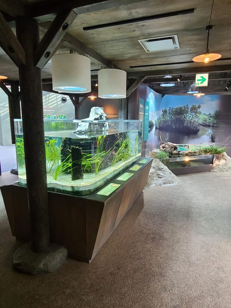 アクア・トトぎふ