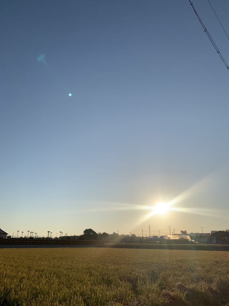 ☀　朝さんぽ　☀