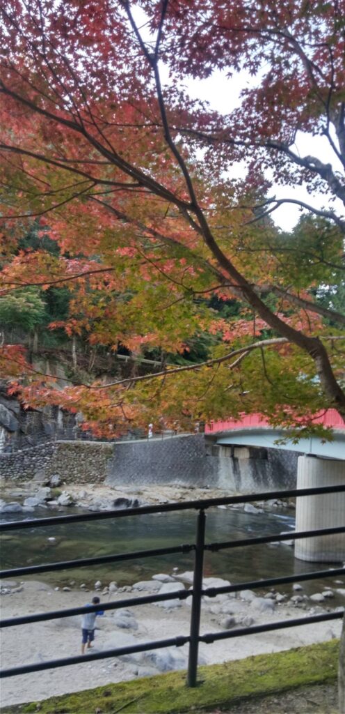 紅葉