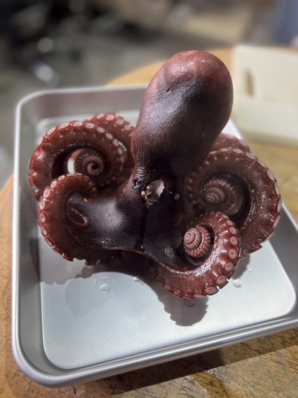 秋晴れ釣行