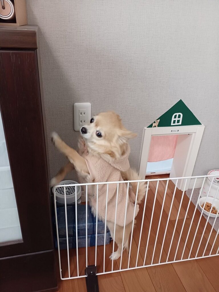 ペットを飼われている方は必見！