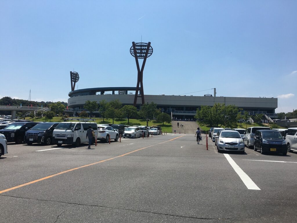 夏の風物詩⚾