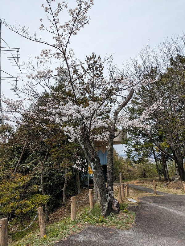 野見山展望台（２）