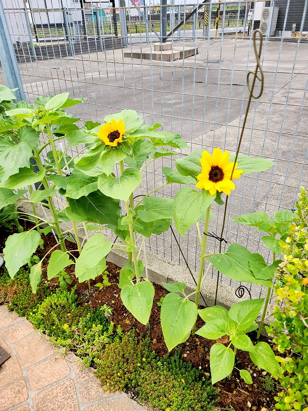 いつもありがとう❤