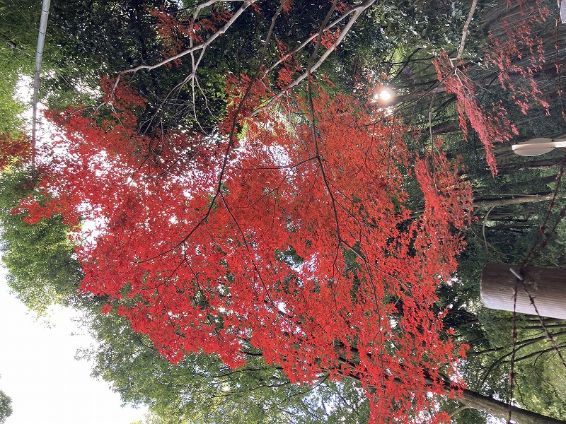 京都登山