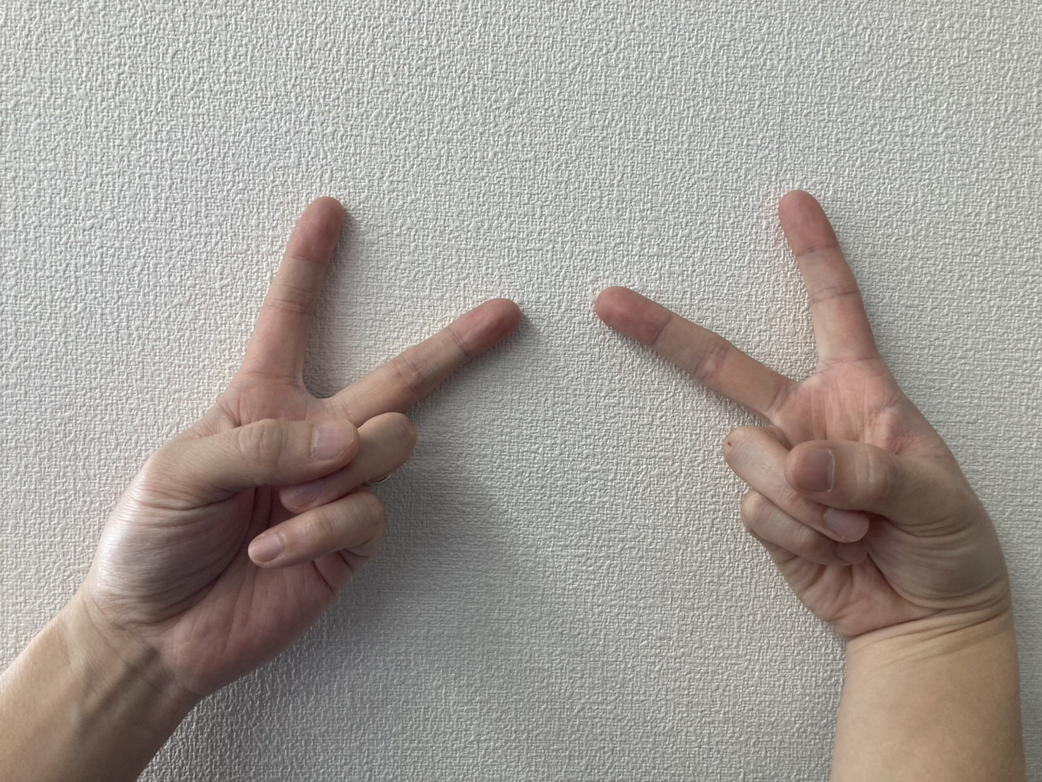 私は〇〇が好きガニよ