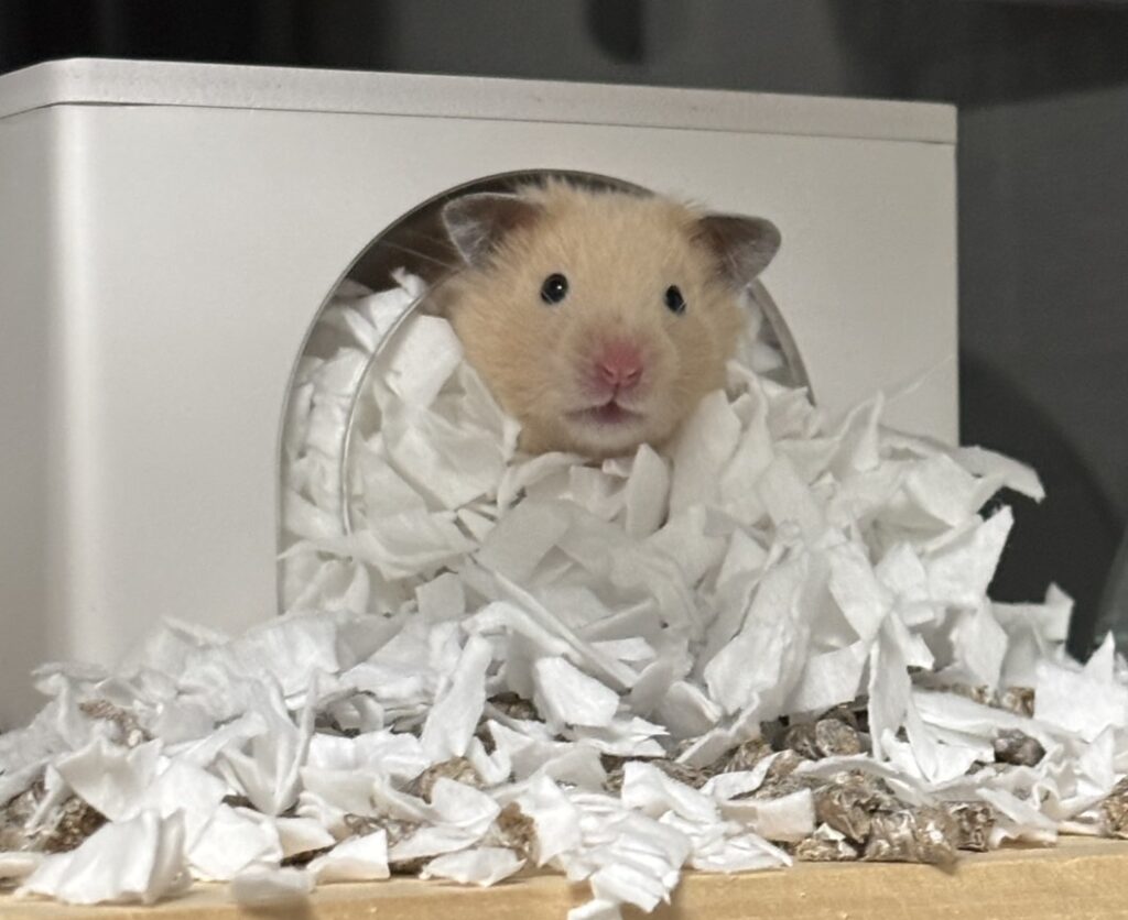 最近名古屋に行く機会が少なくなった