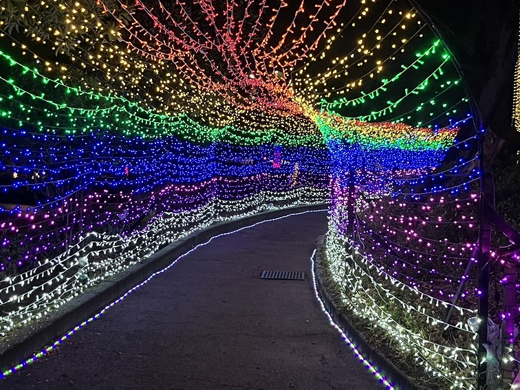 イルミネーション