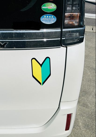 待望の新人の帰還