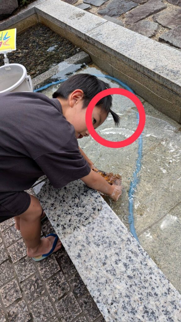 夏の絞り体験から遺伝の話？