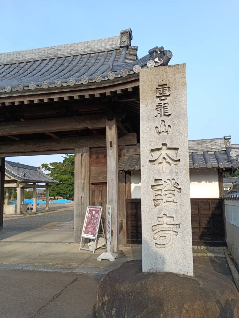 本證寺の蓮、今年も咲いています