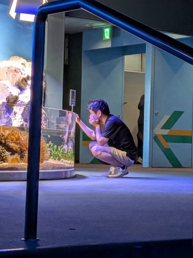 生ラッコ