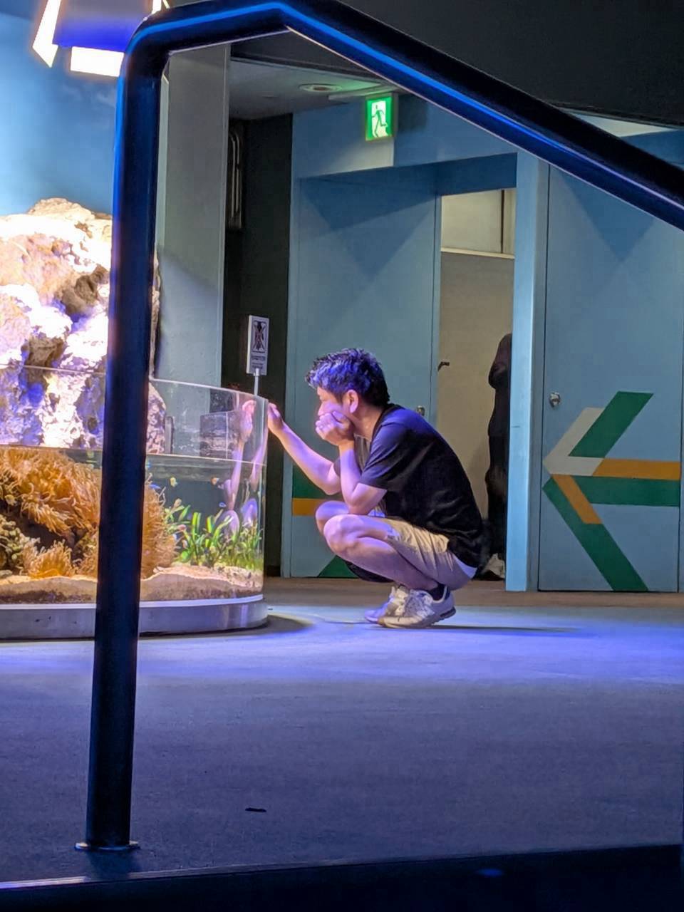生ラッコ
