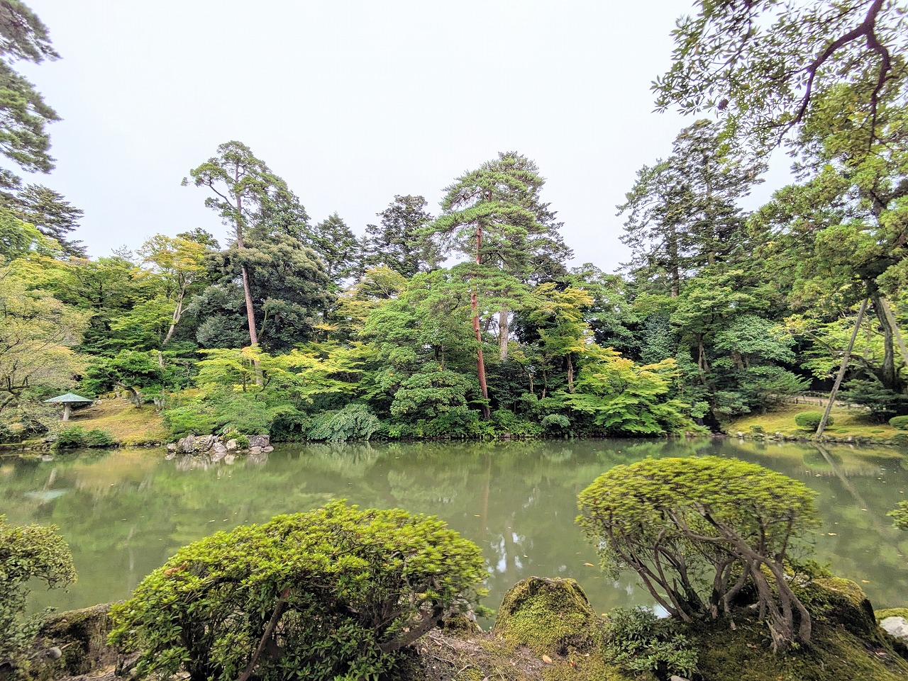 兼六園の庭園