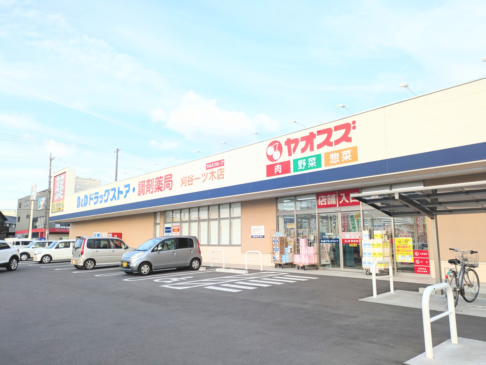 B&Dドラッグストア刈谷一ツ木店まで徒歩約14分（1100ｍ）